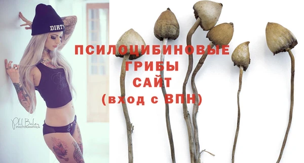 сатива Михайловск