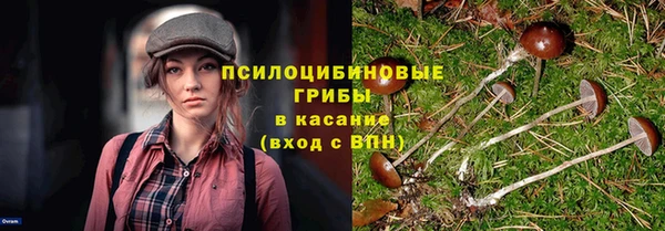 бутират Михайлов