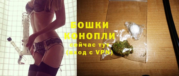 сатива Михайловск