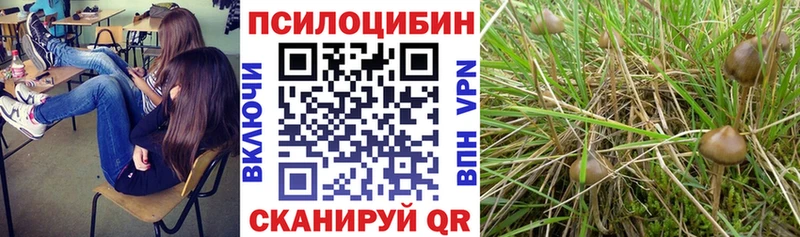 Псилоцибиновые грибы MAGIC MUSHROOMS Красный Кут
