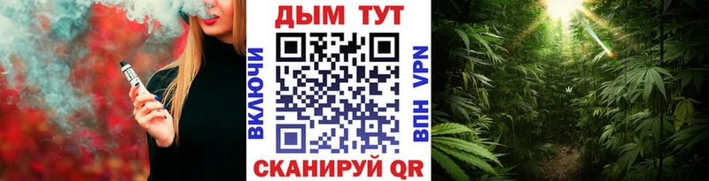 Конопля сатива  Красный Кут 